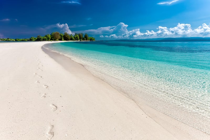 Beach Conservation