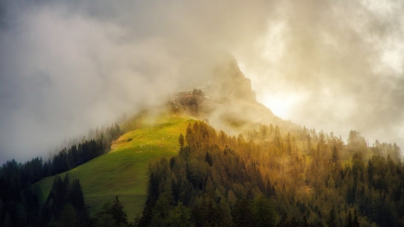 Nature Photography